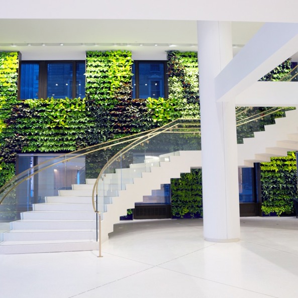 Nextgen Living Wall 223 Large