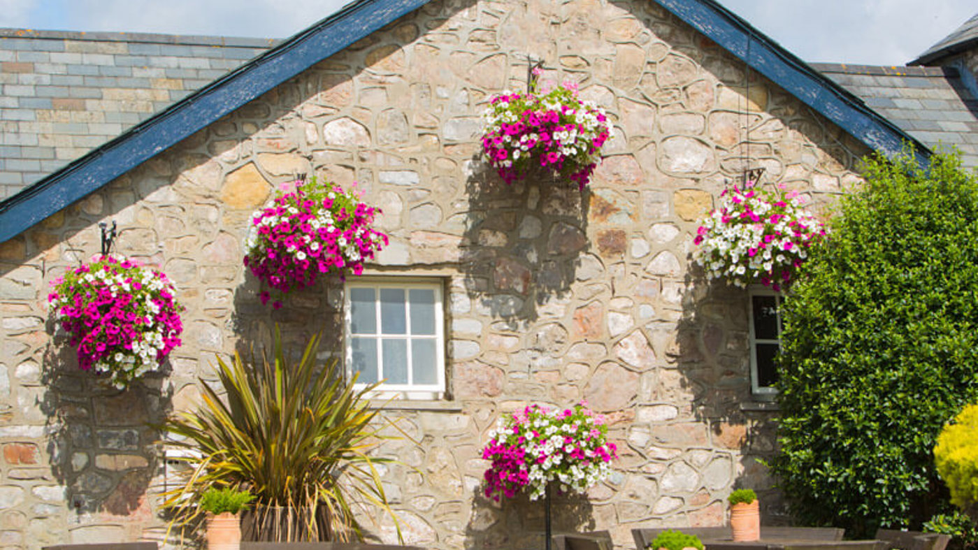 Phs Greenleaf Summer Hanging Baskets 6