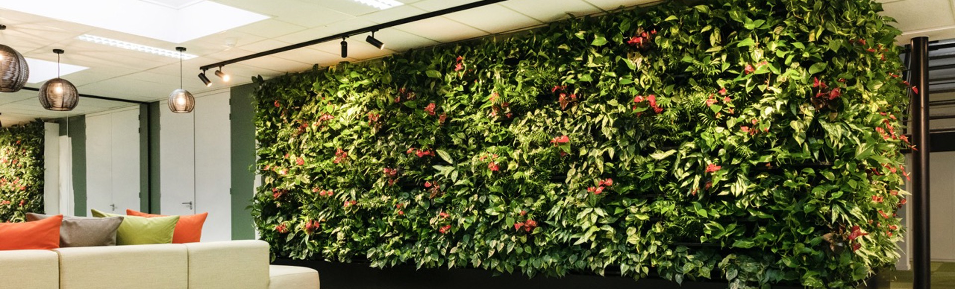 Nextgen Living Wall 233 Large